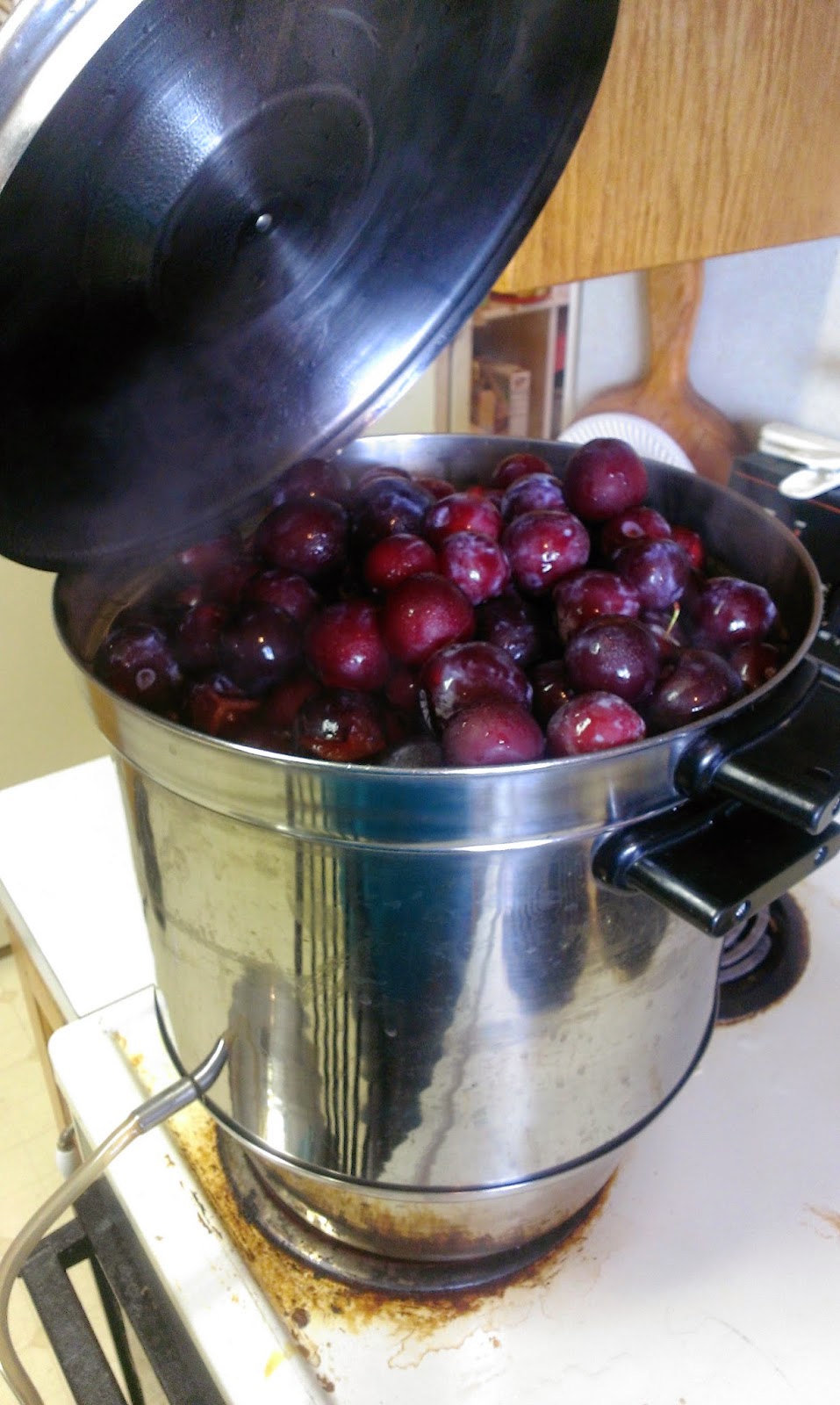 Doing Things Backwards Steam Juicing Plums For The First Time EASY 5 Steps